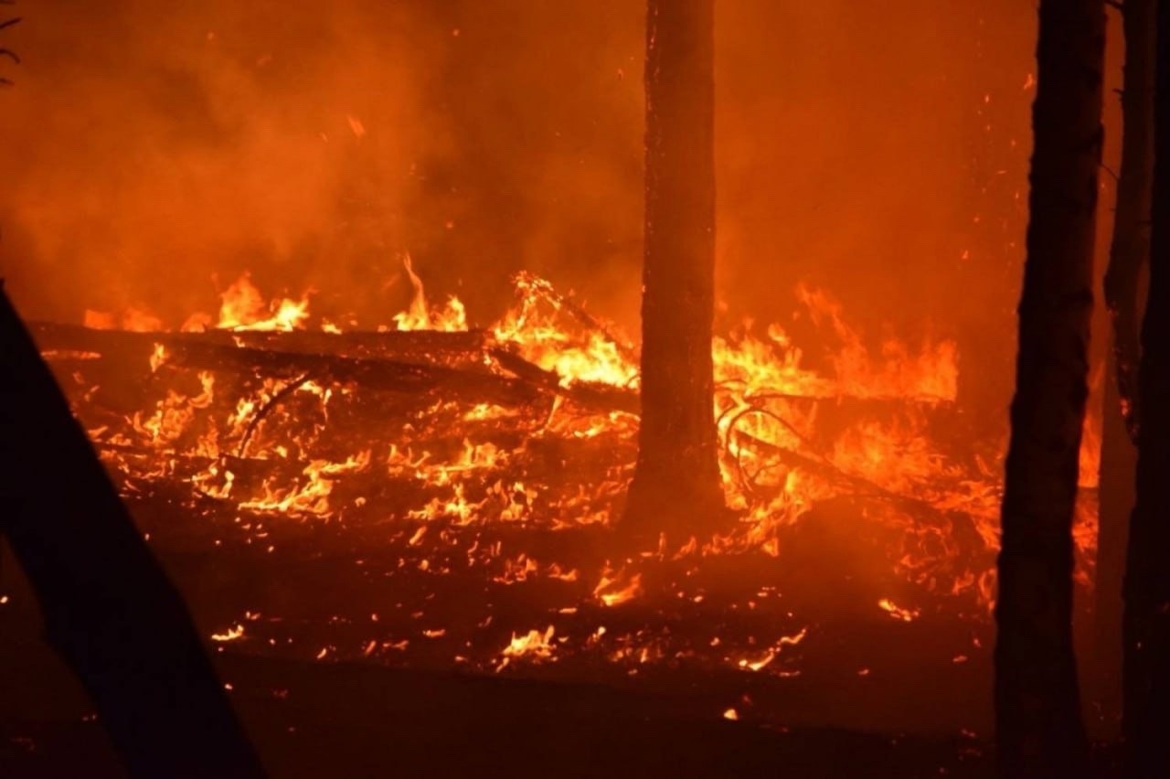С 28 апреля и до особого распоряжения на территории города Кургана введен особый противопожарный режим.